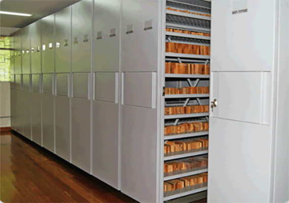 Compactador para xiloteca Compactador para xiloteca